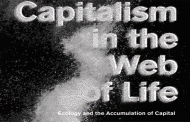 Kapitalismus als Weltökologie? -  Jason W. Moore